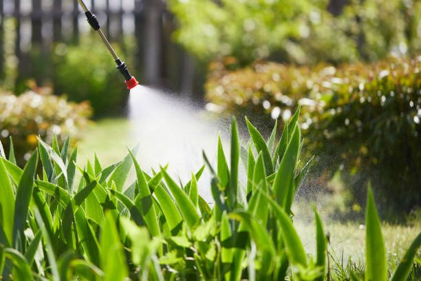 Tamper-Resistant Bait Stations for Rodents in Loyola