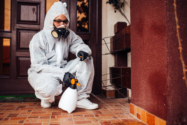 Attic and Crawl Space Rodent Treatment in Loyola